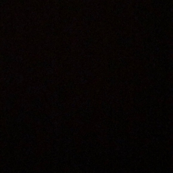 Meet your Posher, Reece - Picture 1 of 1